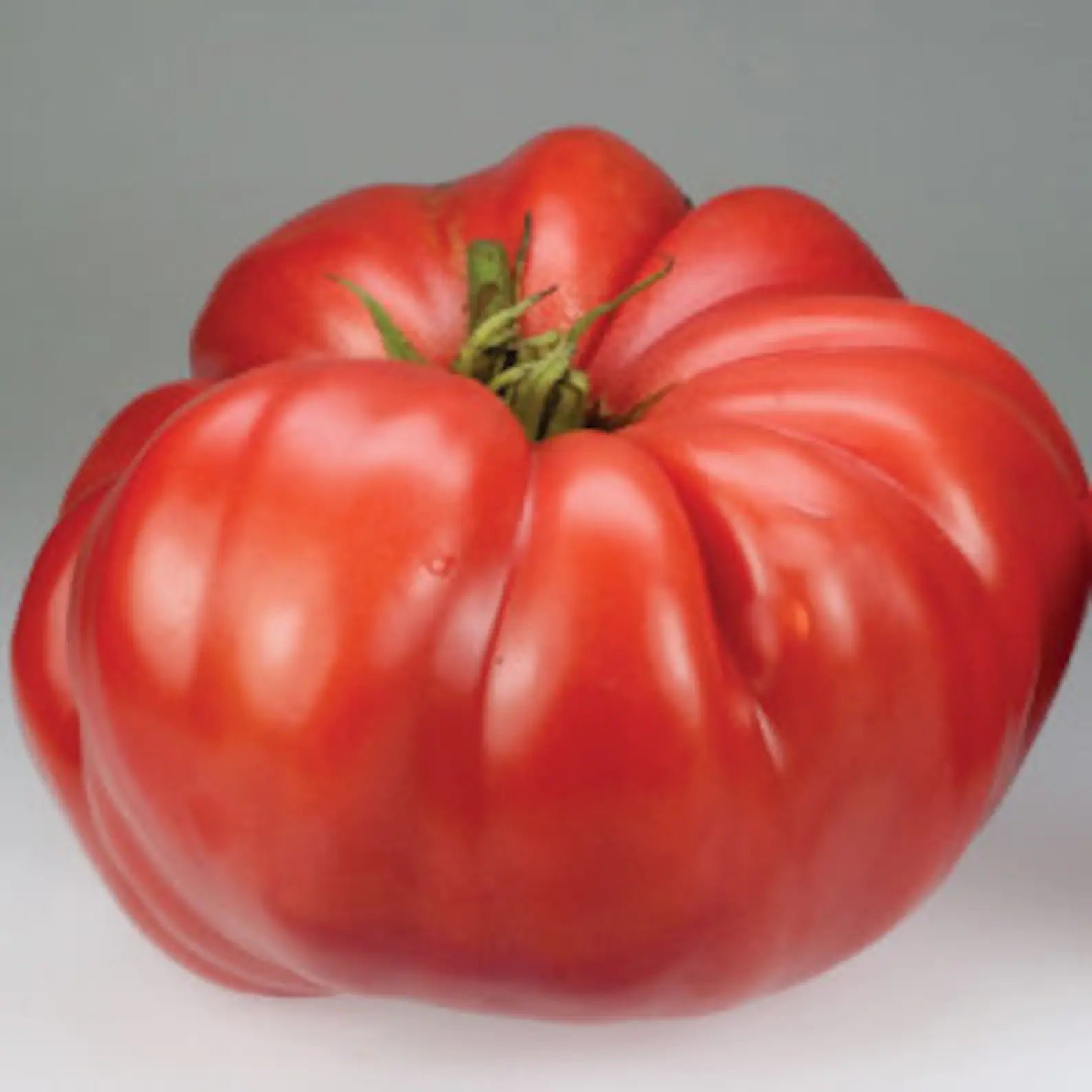 How to grow the juiciest tomatoes
