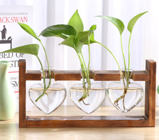 Hydroponic Plant Glass Vase Wooden Stand Plant Propagation Jars Gift For Birthday