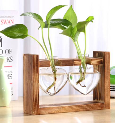 Hydroponic Plant Glass Vase Wooden Stand Plant Propagation Jars Gift For Birthday