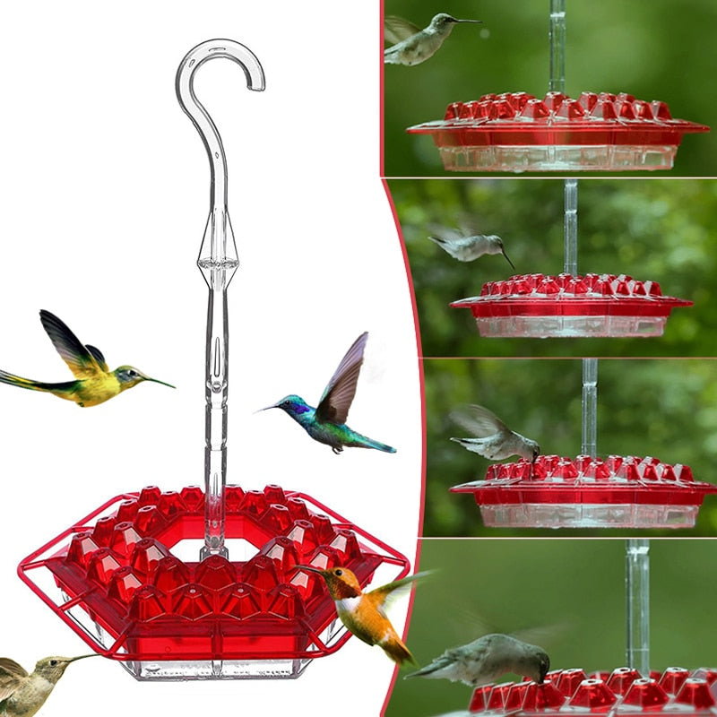 Hummingbird Feeder with Resting Bar and Ant Mote Perfect for your Hummingbird friends..